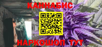 дурь Сланцы
